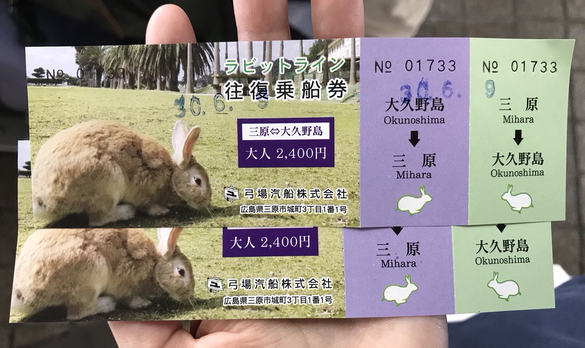 うさぎ村のきなこ ねえたんのパパが広島に来たのでうさぎ島へ