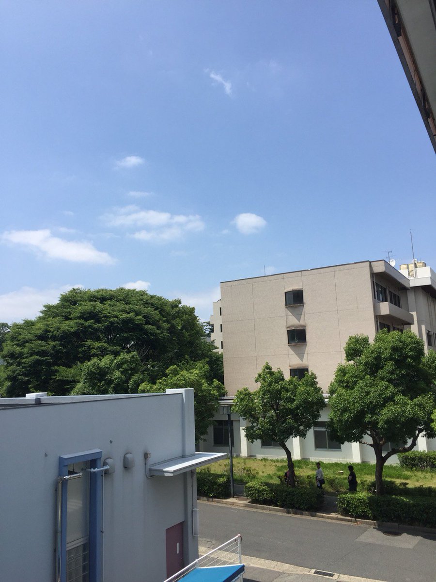 阪大生協マイルーム お部屋探し Sur Twitter 大阪大学生協マイルーム豊中キャンパス店は 月 金 10 00 18 00 土曜日 10 00 14 00 営業しています 吹田キャンパス周辺の物件も 豊中店からご案内しています 本日の阪大キャンパスは良いお天気です 阪