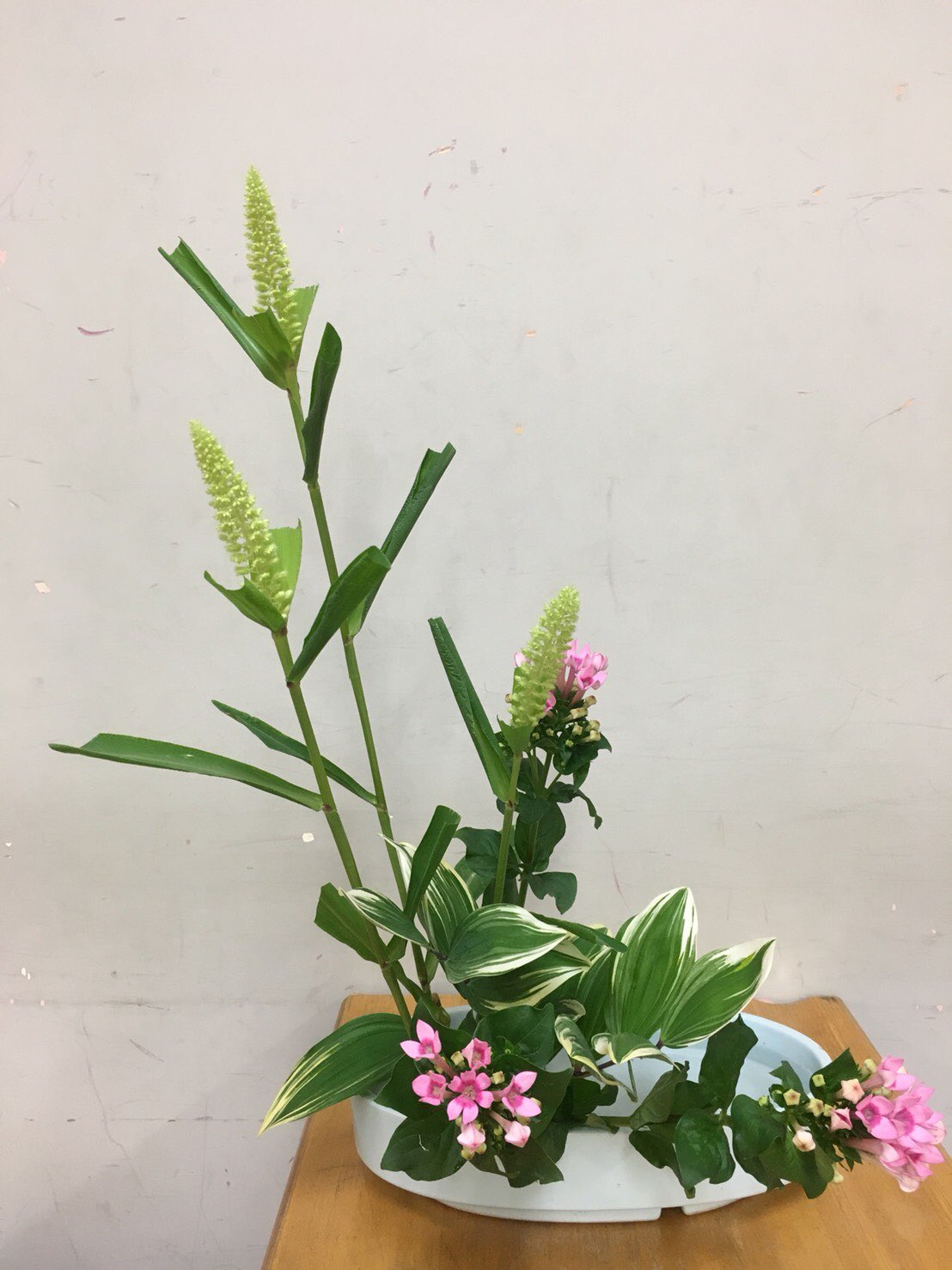 武庫川女子大学 華道部 5 31 盛花 直立型 花材 粟 ブバリア 鳴子百合 花言葉 ブバリア 交流 ブバリアは十文字のような特徴的な花を咲かせます 華道 小原流 武庫川女子大学 華道部 T Co Nmmqzz8kjk Twitter