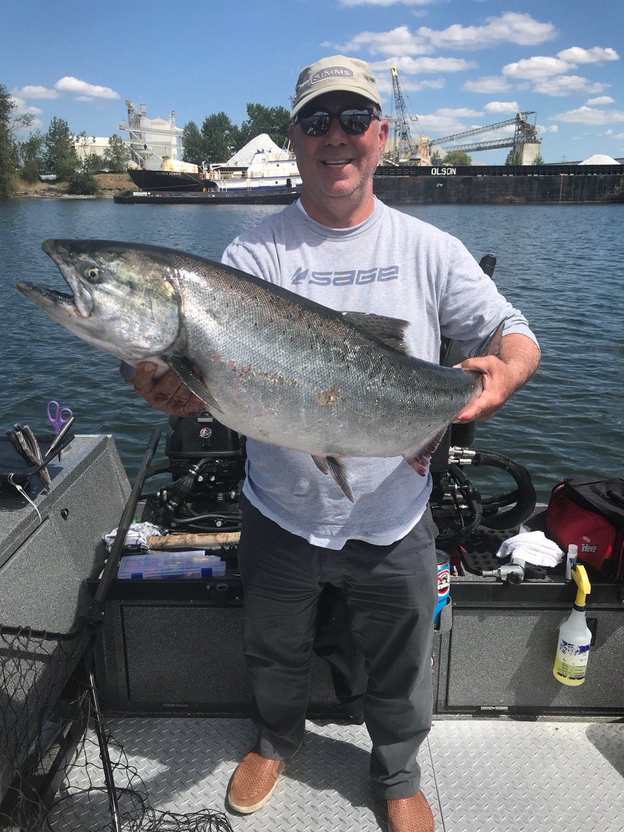 GuideOregon's tweet image. Now booking for Chinook Salmon &amp;amp; Sturgeon northoregonfishing.com/now-booking-fo…