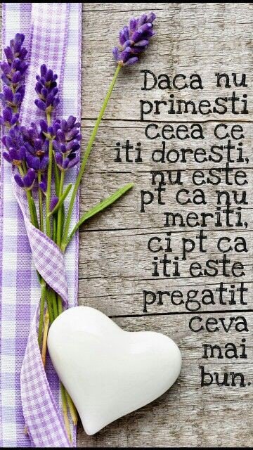 RotaruMihai16's tweet photo. #citate #citatecelebre #relaxtim #bucharestromania #centrulvechi #instadaily #masaj24 #masajlabirou https://t.co/qmGrx38E3F