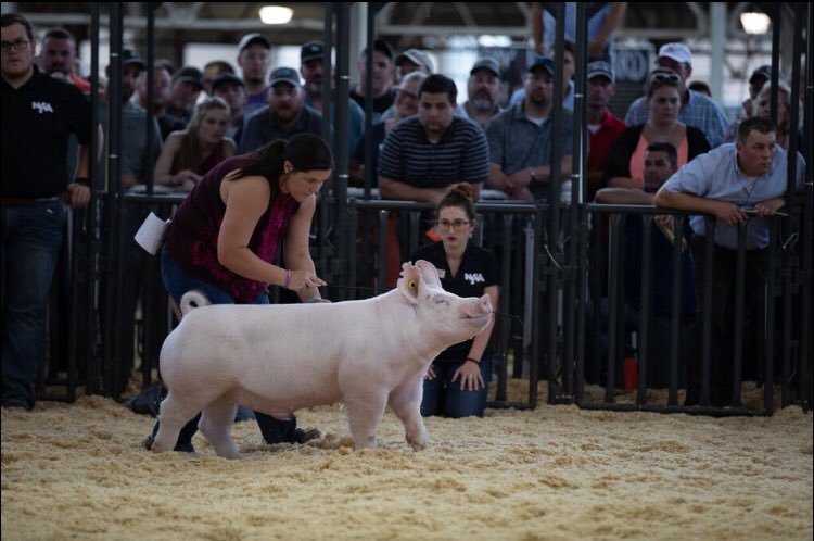 RumseyRachel's tweet photo. never gonna be done posting about this one... #wpx18 https://t.co/5MSn9hUhmz