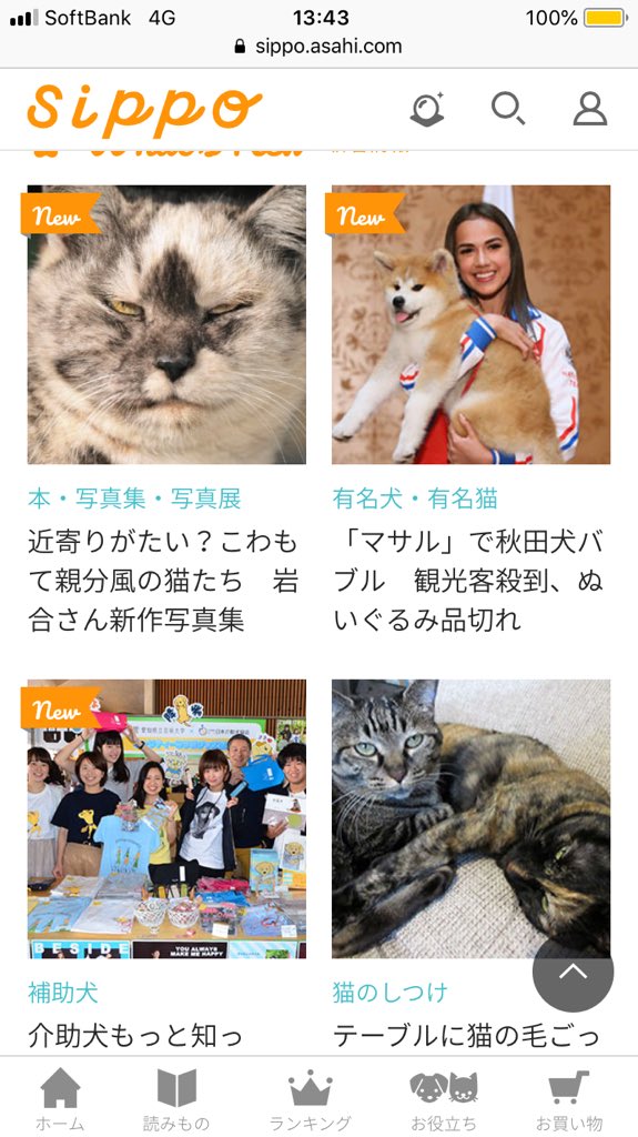 猫びより على تويتر Sippoのトップページにいる親分の場違い感がすごいです ネコおやぶん 抗争事件とほのぼのニュース 岩合光昭 猫びより 猫 Sippo