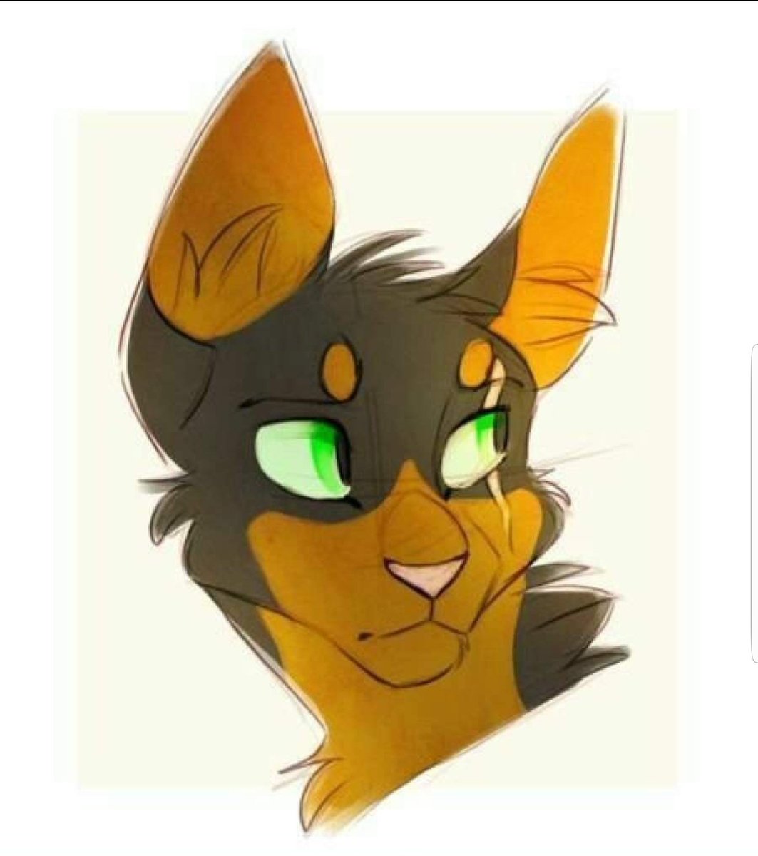 домино коты воители. коты воители домино. коты воители домино. Dominoclaw rabbithop коты воители. коты воители домино.