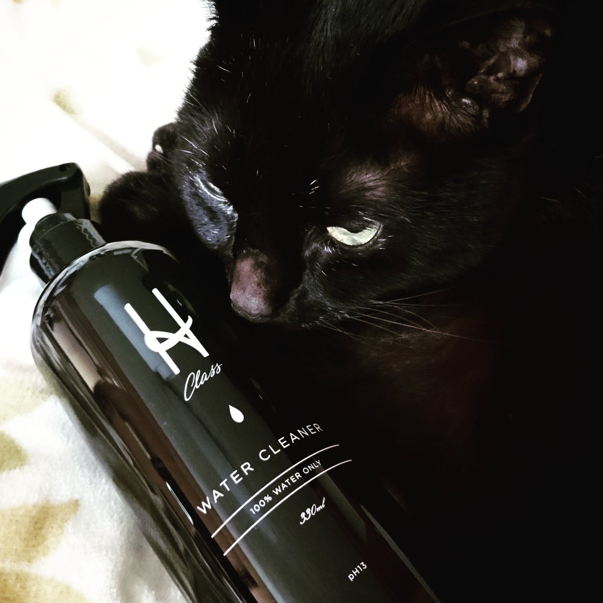satira1144's tweet photo. 『Class H WATER CLEANER(クラスアッシュ ウォータークリーナー)』は化学物質や界面活性剤を含まないアルカリイオンの除菌水。台所の油汚れを始め、普段の生活エリアの洗浄、除菌、消臭も。無臭なので猫も嫌がりません。かなり優れもの!助かってます♪ #ClassH @asagakecom https://t.co/tF2WgGqN55 https://t.co/7wj9Dl4Udb
