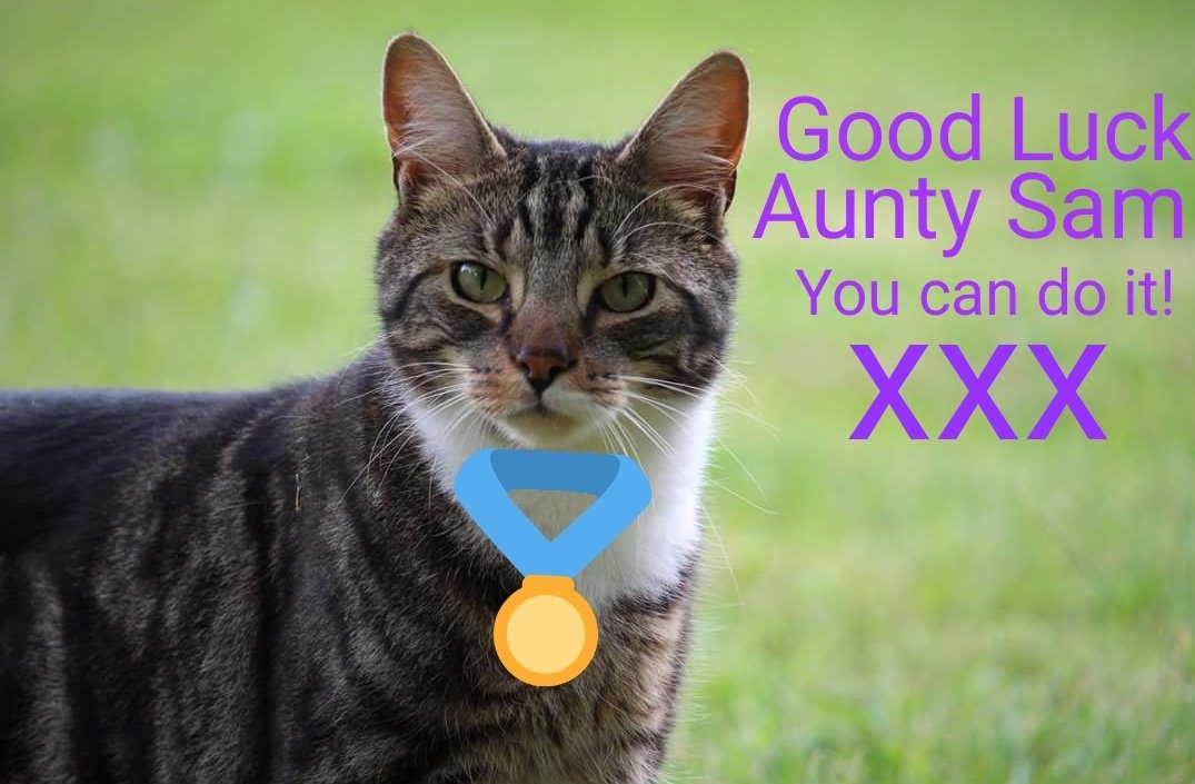 KeepinUpWithTGG's tweet photo. Good Luck to my Aunty Sam @Bluebell_Glass who is doing the @CR_UK Hadrian's Wall 22 mile hike today 

You're a star! https://t.co/5fDIt4KUru