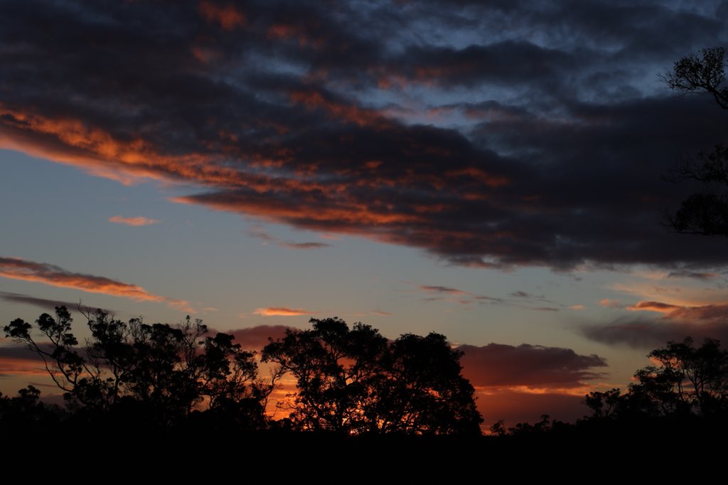 joefattorini's tweet photo. Australia, you win at sunsets https://t.co/8MQeZcutbU
