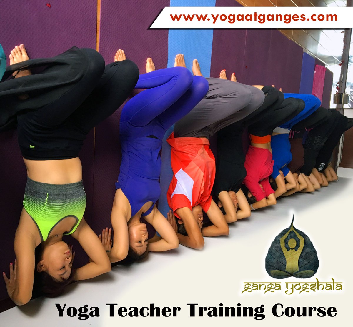 #200_hour #yoga #teacher_training_course program which is overlooked by the expert #yogis. it is one of the #professional as well as personal #development opportunities for the #students. #rishikesh is a place which is known for the soulful experience it offers to the travelers.