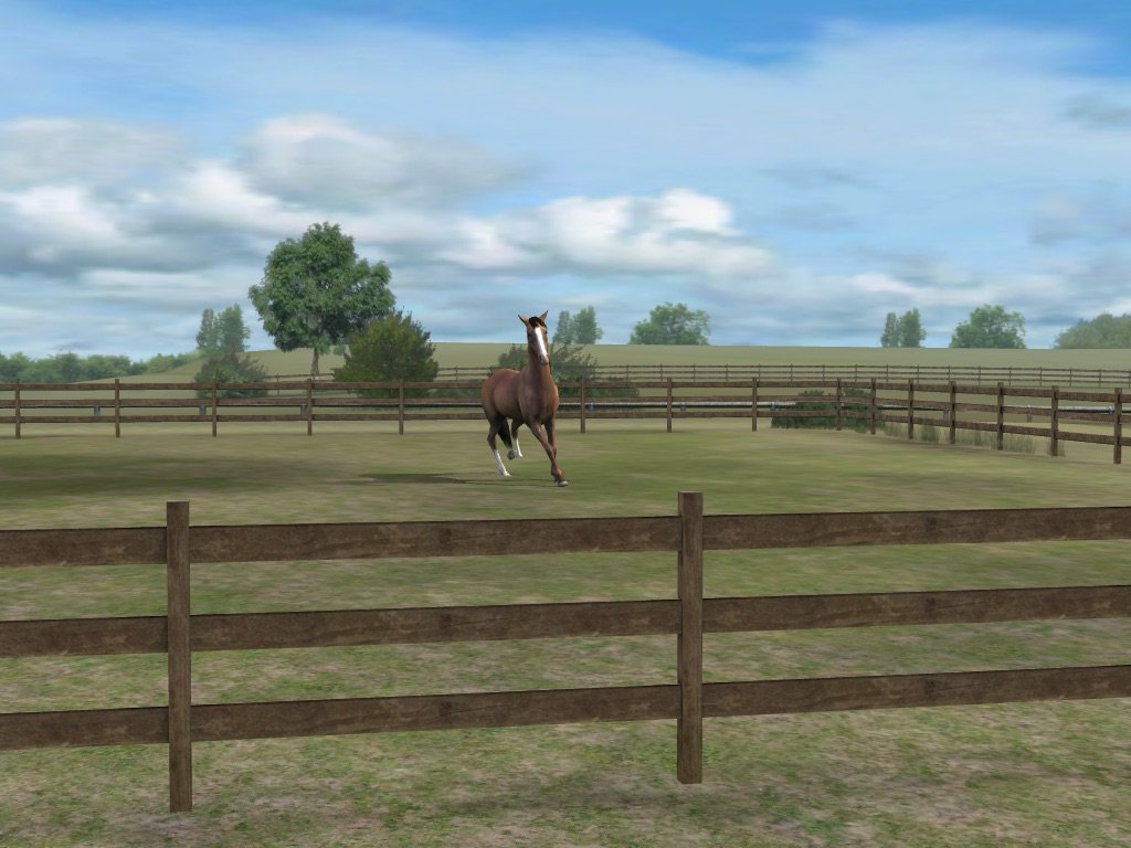 Hildeww's tweet photo. Check out my photo! Add me, WackyHaiku898. #MyHorse øBES.        PTFRARON https://t.co/klwN9XKS8z https://t.co/sENxuzXUuB