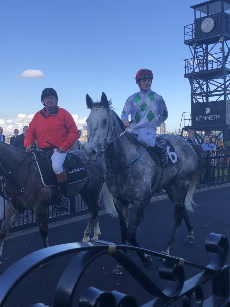 ashh_ellen's tweet photo. Name a better duo... I’ll wait Jarrod Fry and Rocket Tommy. So pleased for all the connections and hard work that’s gone into this @Johnstoneracing #peachride #wellrated #teamtommy #legend https://t.co/DW4YIBFv5W