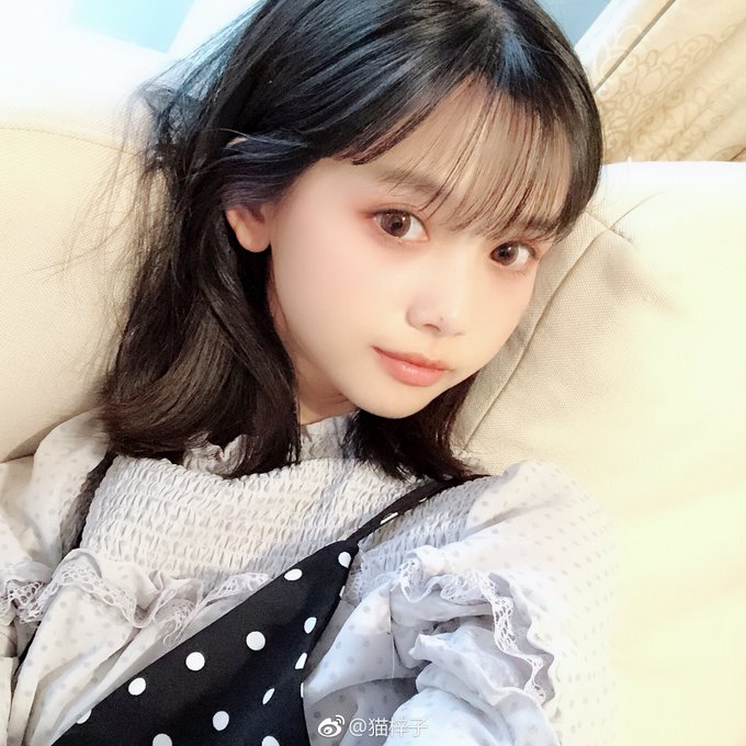 Popular tweets of 猫梓子 - 3 - whotwi graphical Twitter analysis