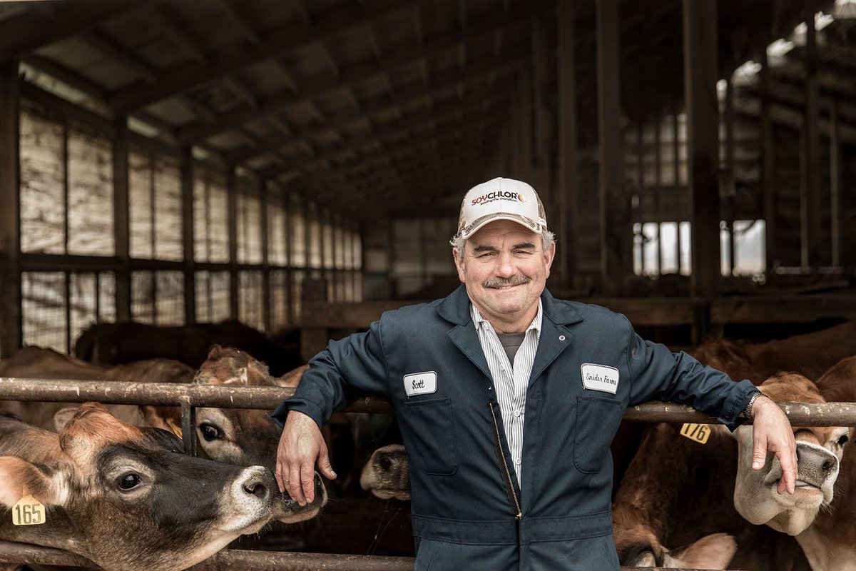 RLIMAGING's tweet image. Loved by his Jersey dairy cows! robblongphotography.com #jerseycows #locationphotographer #commercialphotographer #agriculturephotographer