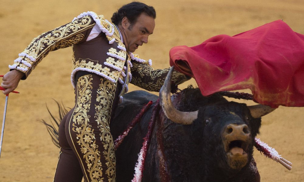 BFMTV's tweet photo. Espagne: le matador El Cid gravement blessé par un taureau https://t.co/1ZgtfU0G2z https://t.co/Y5u79LIgs1