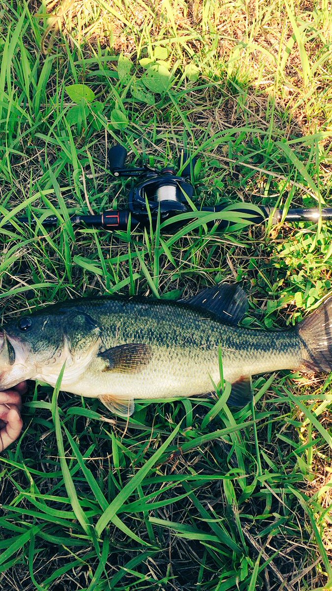 Rewrite Zbc Uvsクロー 5gのテキサスリグでアシ撃ち ロッド ゾディアス172mh リール スコーピオンdc Hg