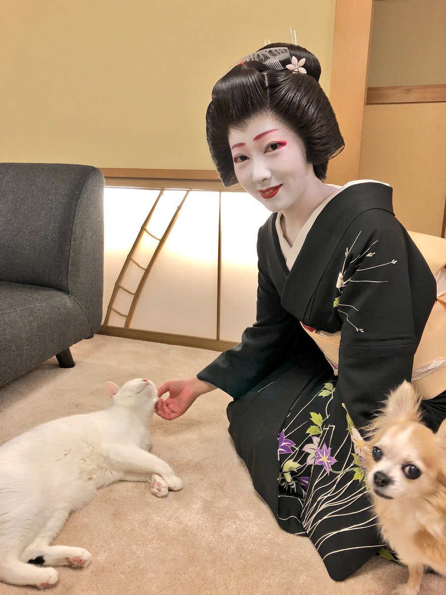 YOSHIFUMI01's tweet photo. うちのお座敷では、いつも猫ちゃんワンちゃんに囲まれたはりますね(^^;;

#京都 #宮川町 #舞妓さん #芸妓さん https://t.co/LdNfCj3M40