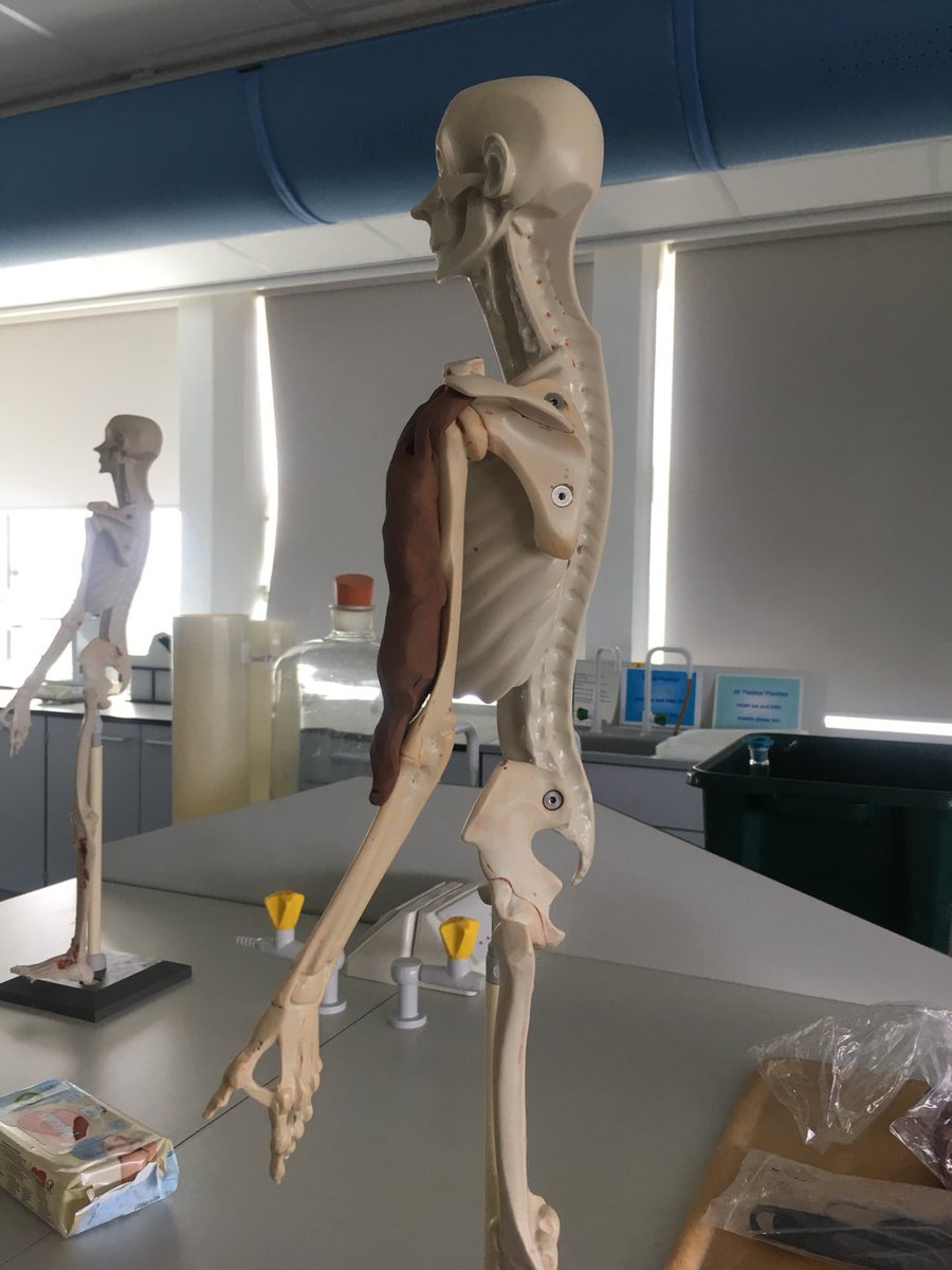 University Of Derby On Twitter Biomedical Healthhuman - 