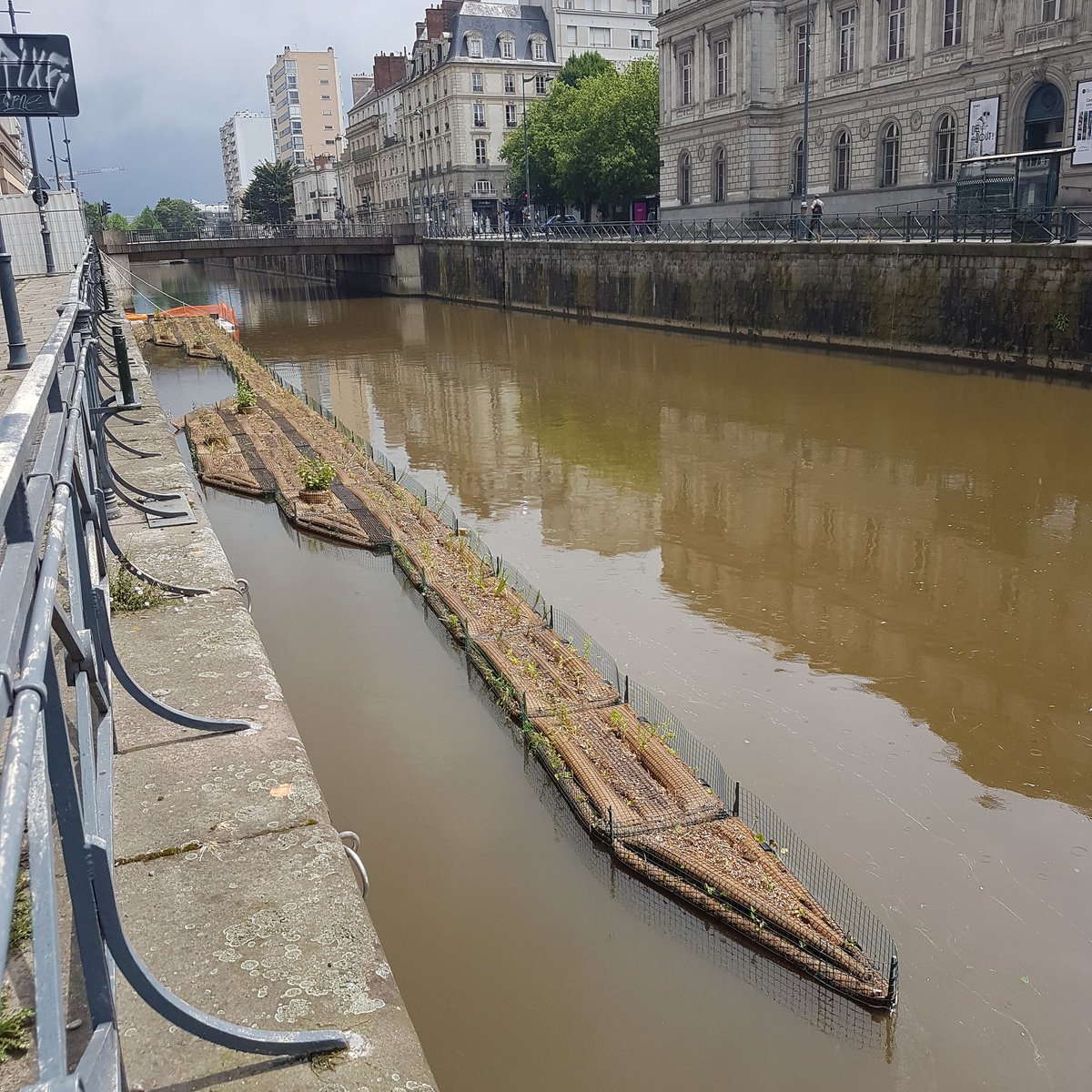 Myriam_Trellu's tweet photo. 🌿 Le 2ème jardin est presque fini  !  #JardinFlottant #FloatingPlanters #Rennes @biomatrix_water  #budgetparticipatif https://t.co/4kAJrvnn7p