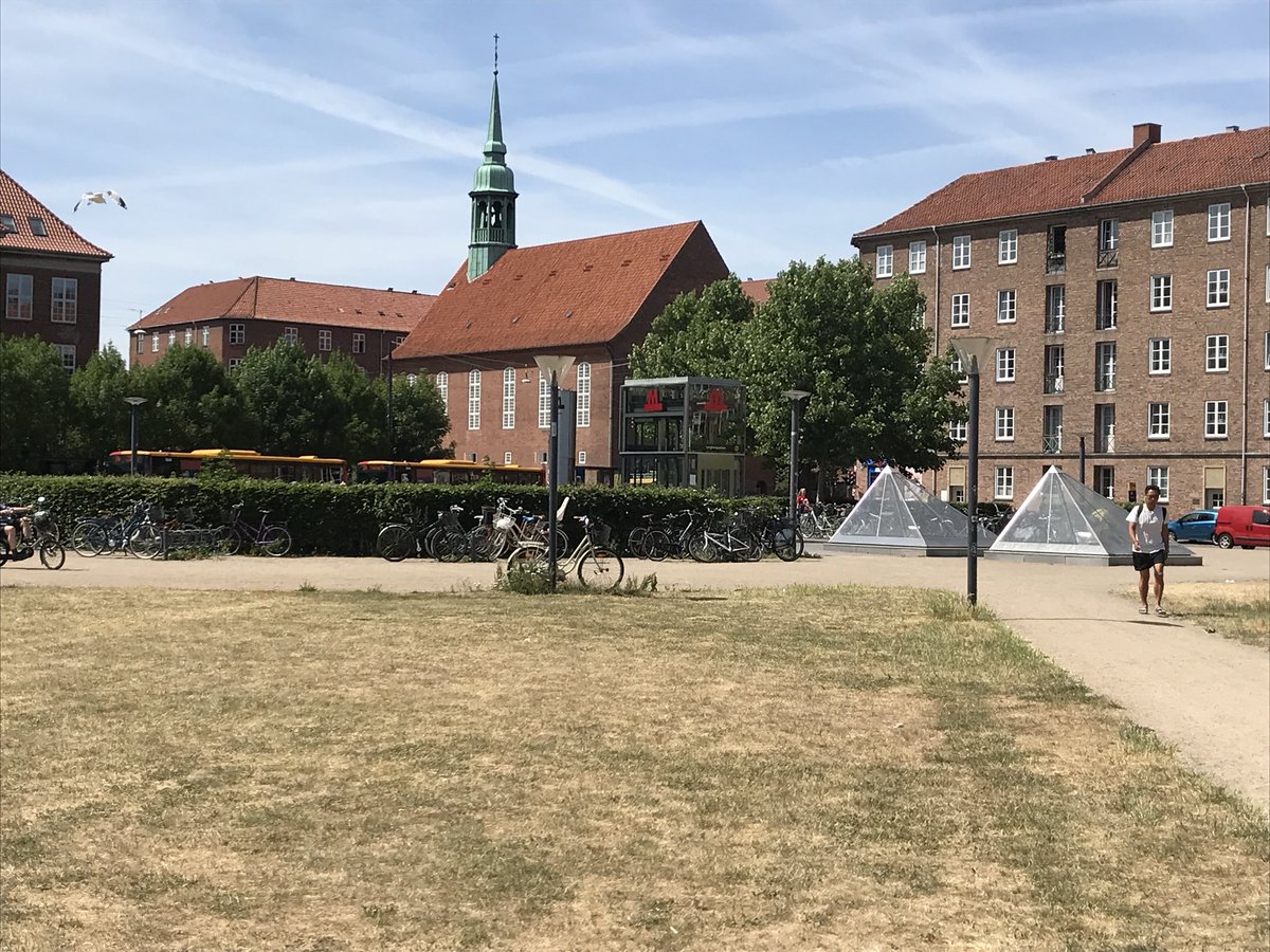 climate_ice's tweet photo. The grass in Denmark is brown after no rain in weeks. Persistent weather extremes are an emerging signature of Arctic climate change. https://t.co/EdoTRAxK42