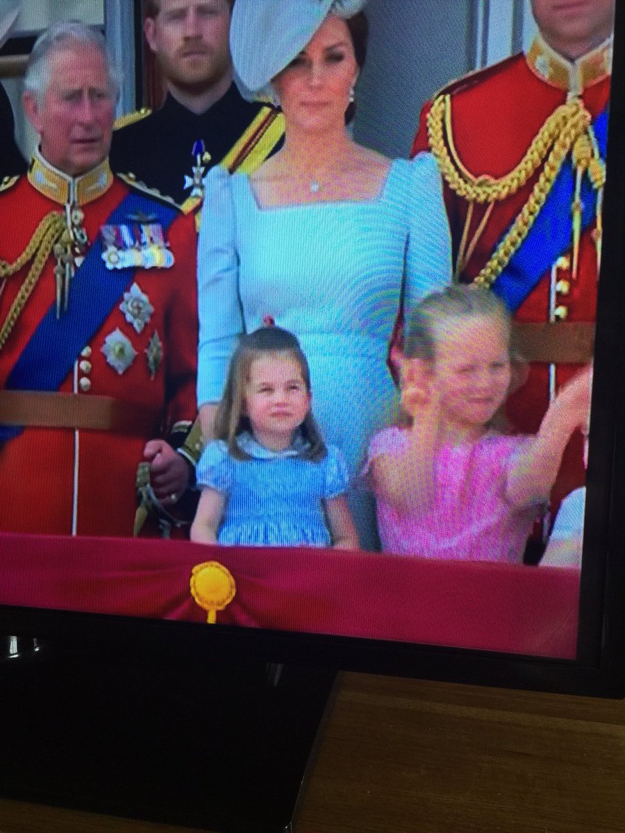 prefersjoy's tweet photo. I think the little pink royal needs a bit more training on how to behave during the National Anthem. Royals have gone to the tower for less. #TroopingtheColour https://t.co/MoxG58JQnK