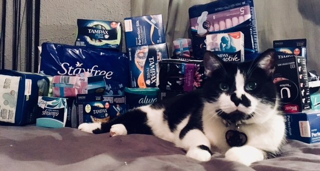 AustinTX_NOW's tweet photo. For as little as $4 you can donate to our feminine hygiene drive and packing party benefitting Communities in School. Add to your Amazon shopping cart here: https://t.co/r6BoREjhDz https://t.co/IeSS1fVZlt