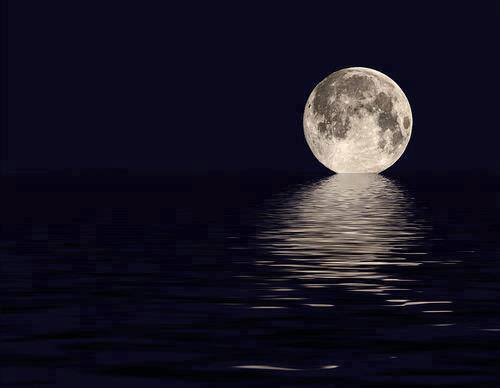 A_HMA_D90's tweet photo. اين انتي ------------------- وكم ستغيبين

ومتى تعودين واذا عدتي
هل تعودي كما انتي كما رحلتي

وهل مازال قلبكِ لي وحدي ------------- اين انتي https://t.co/N1Y94DxEZy
