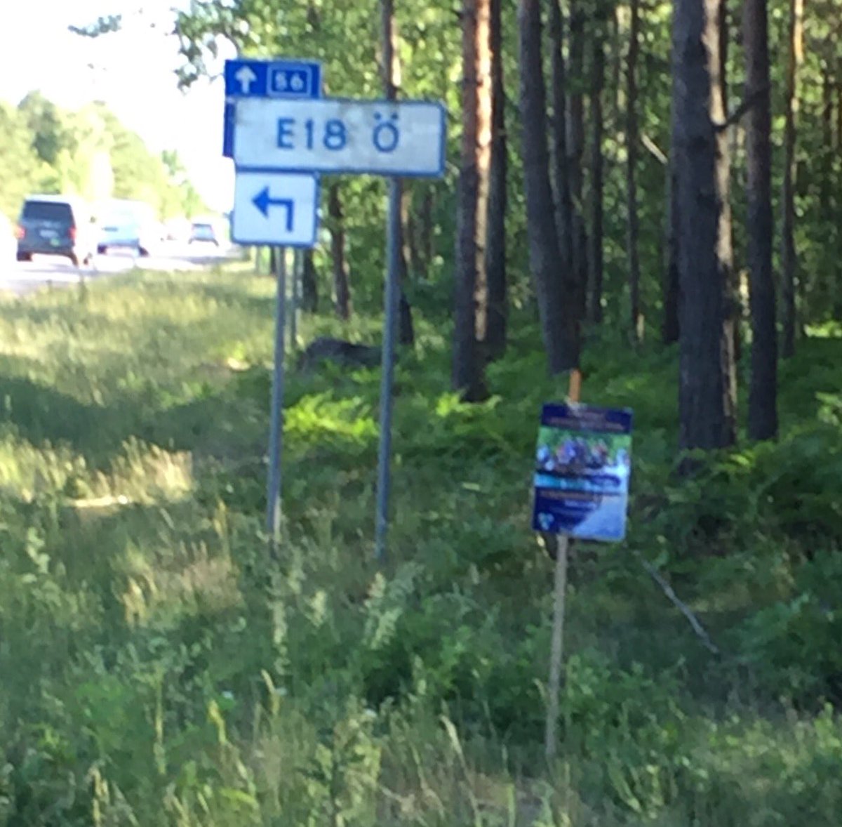 TheGusse's tweet photo. One week to @SwedishGN and there is a hot #summer in @swedense See U @RS_Stromsholm june 16 Winners and others Welcome ! https://t.co/ycYu0mAMVW