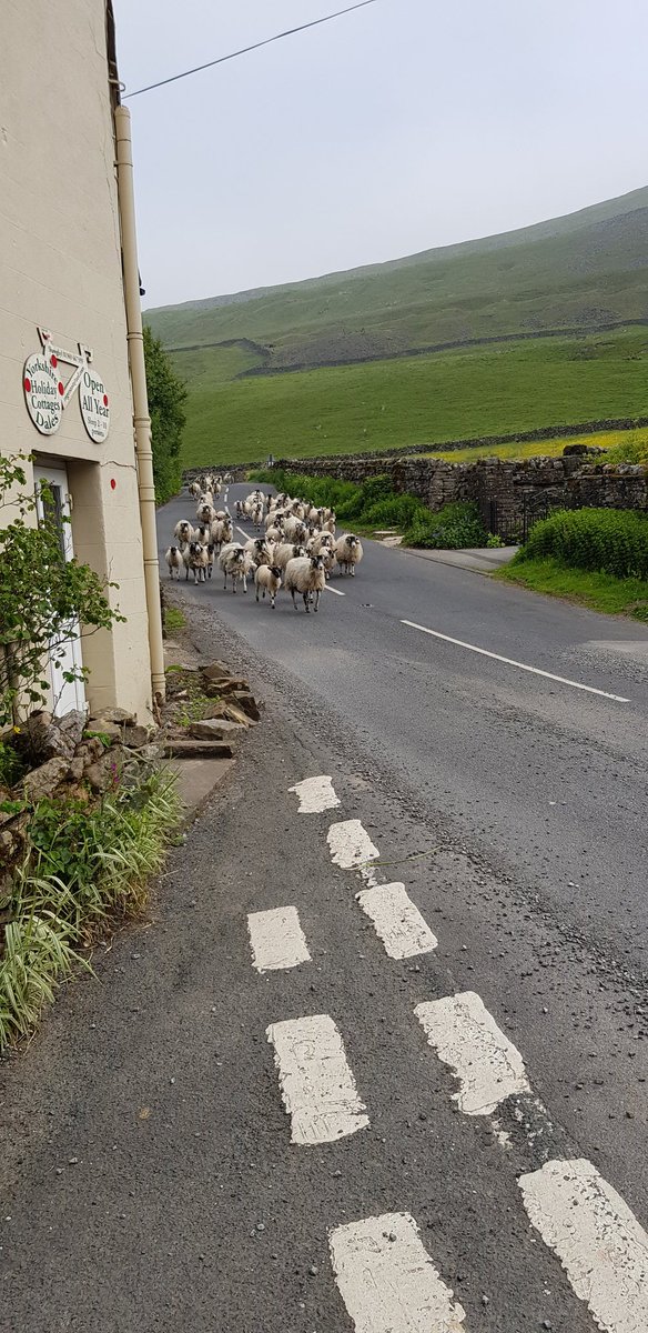 Choile's tweet photo. Traffic Jam #countryissues https://t.co/hM2bCOce2i