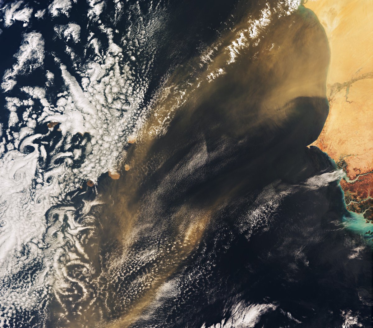 Cmdr_Hadfield's tweet photo. The blown dust from the Sahara feeds the ocean's plankton with iron, which make oxygen for all other life. Our marvelous, connected world. 
https://t.co/Sa34j4pXT9 https://t.co/UMDRa2G5OB