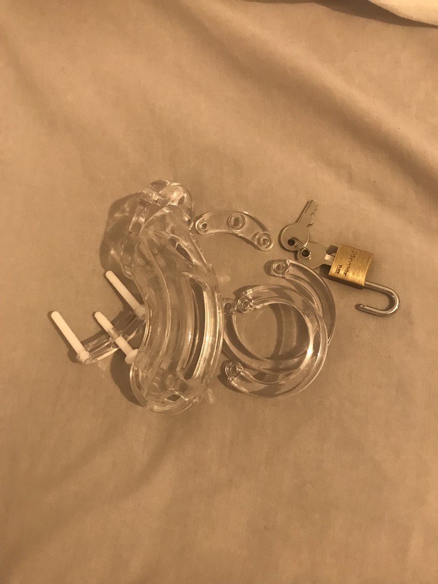 slave_memes's tweet photo. It’s arrived #chasity #sub #lockedup #femdom #findom https://t.co/8jg9mvRVGE