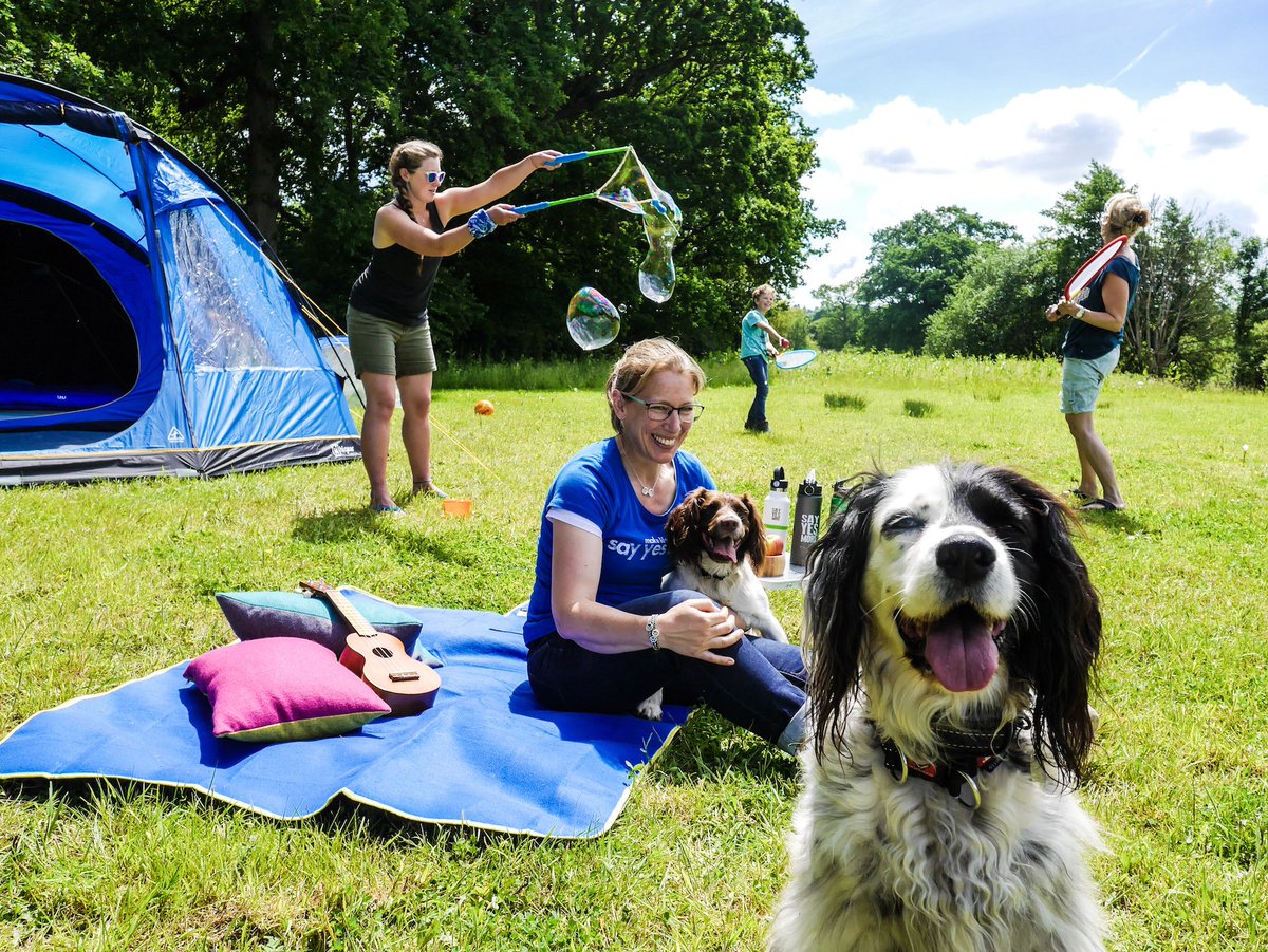 DaveCorn's tweet photo. Whoever said "never work with animals" clearly didn't understand the importance of biscuits. Super fun comfy camping trip with @GOoutdoors - Check out the blog here https://t.co/f4xmQXeHm6  #GOExplore #GOOutdoors #GOoutpaws #ad #brandambassador @_jobradshaw @EmKarembo https://t.co/DObqJiTBfD