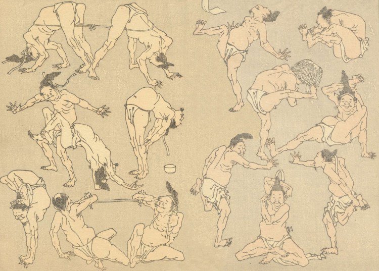 Neurophilosophy Blog tweet media