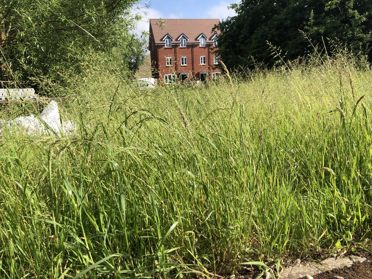 AdamTanner1's tweet photo. @TewkesburyBCgov @TewkesburyBCgov Love it how you are blaming the weather for falling behind! I have had to chase every year for 4 years to get the grass cut! I have made numerous complaints and it never gets any better... This has only been cut once this year!! #poorservice https://t.co/h4k22qiJEB