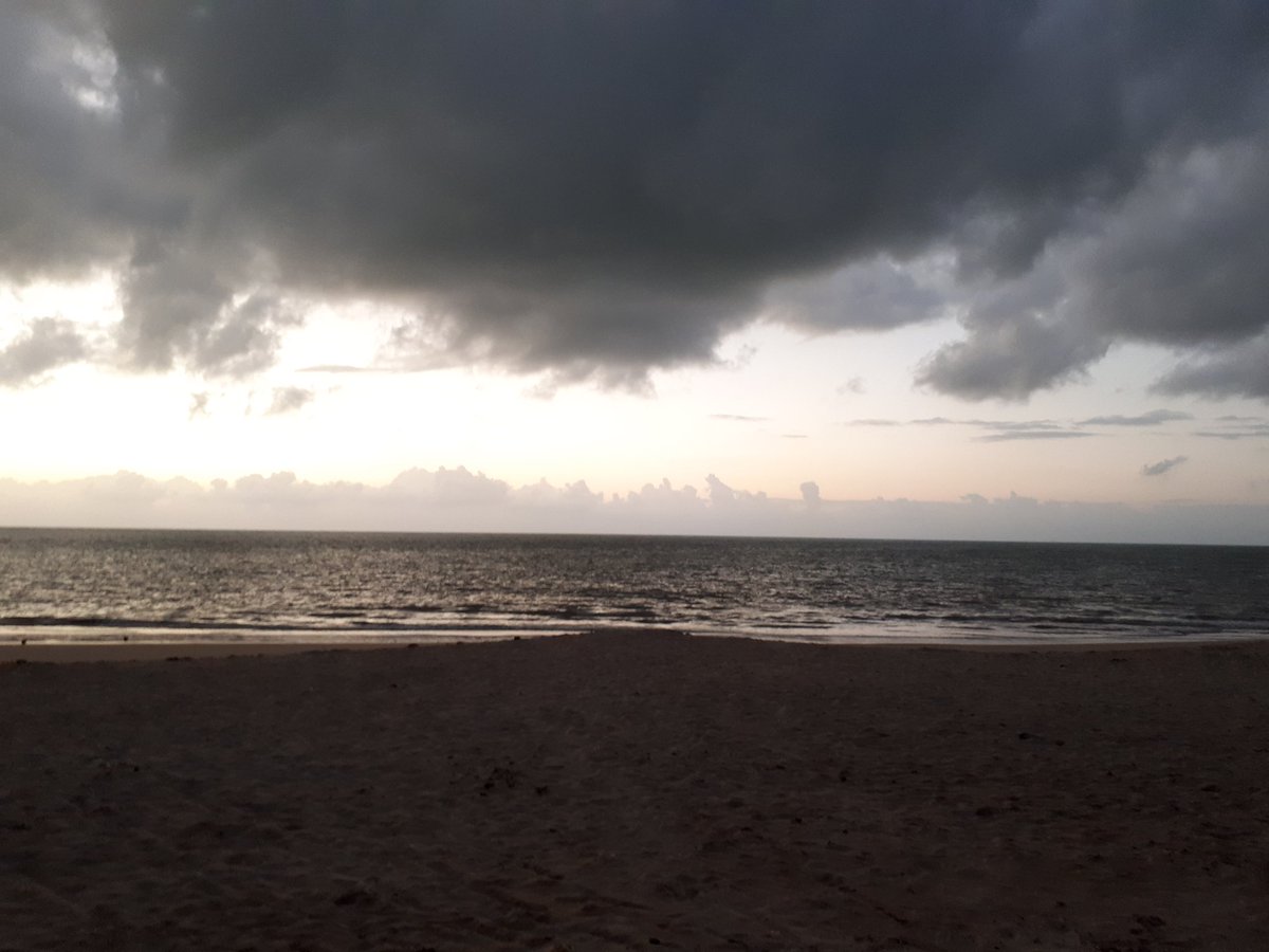 Claudia Junge tweet media