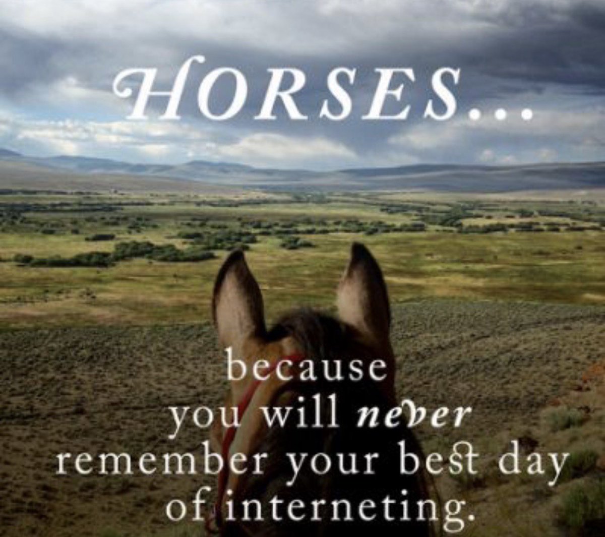 TheStableBox tweet media