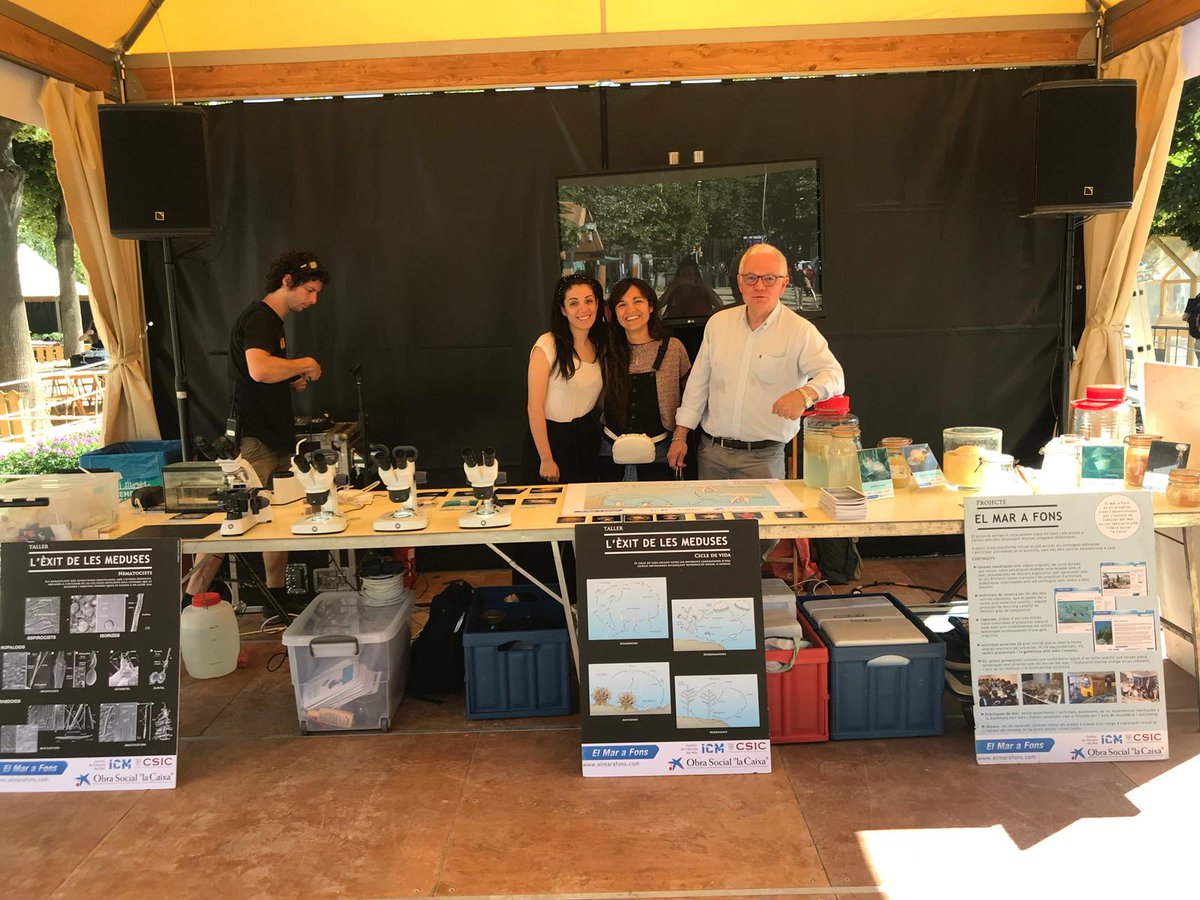 elmarafons's tweet photo. Ja tenim tot a punt al Parc de la Ciutadella!! Vine al nostre stand per aprendre més sobre meduses! #FestadelaCiència @ICMCSIC @CSICCat @CSIC @WorldOceansDay https://t.co/b7b9A7brtV