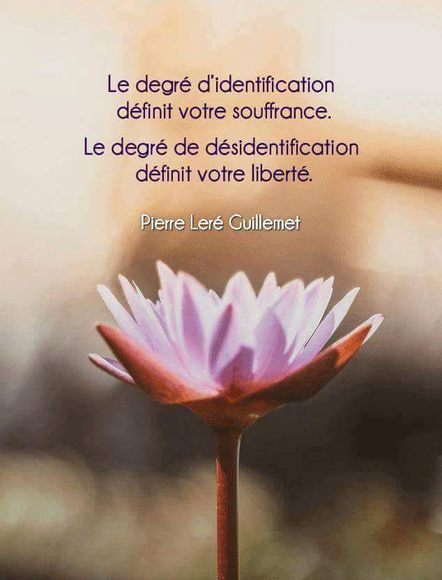 Le degré d'identification définit votre souffrance.
Le degré de désidentification définit votre liberté.

Pierre Leré Guillemet.