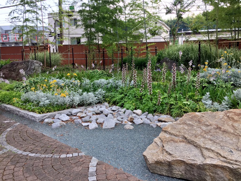 gengen5698's tweet photo. First visit to my first constructed project that I have participated as an intern two years ago. Plants are well grown than I expected! https://t.co/JsiPfjyHUH