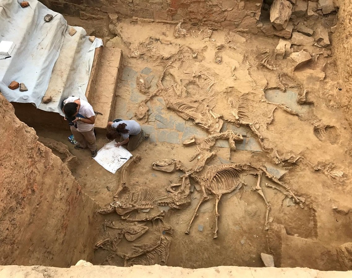 ORIENS_Cultura's tweet photo. #Oriens visitó los yacimientos arqueológicos de #Cancho Roano y el #Turuñuelo, en Badajoz, con las explicaciones de sus directores, Sebastián Celestino Pérez y Esther Rodríguez González. ¡Todo un privilegio!
https://t.co/hSQHsvdnBD https://t.co/XveetsGNbJ
