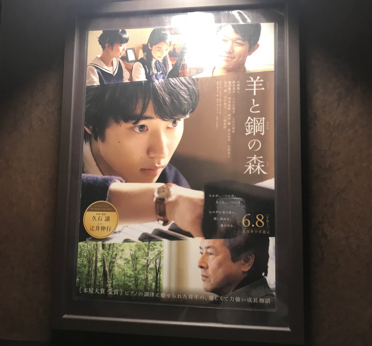 ma_tcha_kn97's tweet photo. 昨日羊と鋼の森見に行きました！

半分くらい泣いてた
かわいいし野菜生活だしめっちゃ感動するし本当にいい映画でした
もう3回くらいみにいける

#羊と鋼の森 
#山﨑賢人 https://t.co/HVPQoA5rW3