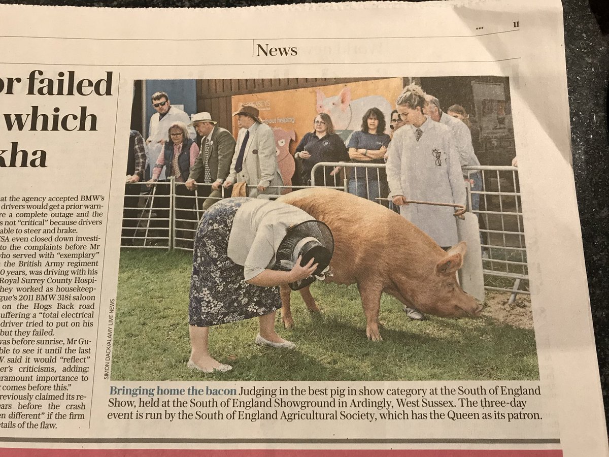 Good to see @SouthEngShows in the @TelegraphNews today #Bacon #Pigs #SouthofEnglandShow