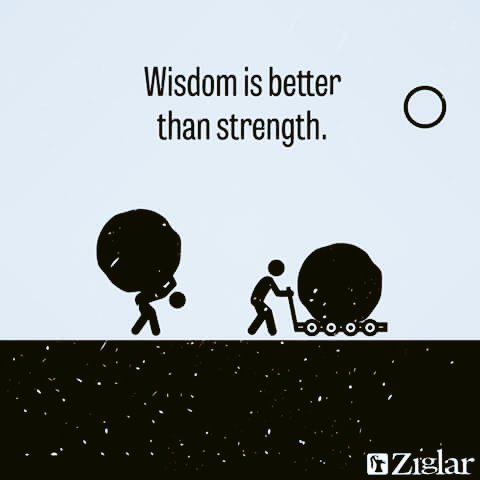 riseworld_org's tweet image. "Wisdom is better than strength."
#WeekendWisdom