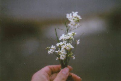 ꒰ หวายมีแมวชื่อแบบี๋ ·˚ ༘ tweet media
