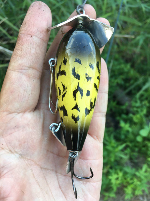 BantamFrickin's tweet photo. うぐいすベイトこと、#FrogProducts の #MouseBait です。本日、ヒシモの上を縦横無尽に走らせてました。絡みがすくない!フロッグのように使える!その理由が、ルアー形状、ブレード位置が、ウィードに絡みにくいように絶妙にデザインされているようです。手のひらに乗せてみて納得。 https://t.co/GyIze77TTe