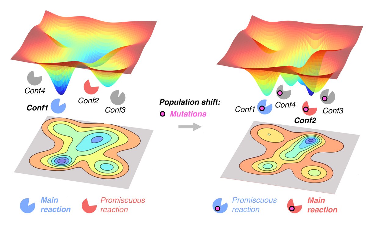 CompBioLab (@compbiolab_iqcc) on Twitter photo As part of the themed collection <a href="/ChemCommun/">Chemical Communications</a> 2018 Emerging Investigators, we have published a feature article on: "Role of conformational dynamics in the evolution of novel enzyme function" pubs.rsc.org/en/content/art⦠Congratulations <a href="/CompBioLab_IQCC/">CompBioLab</a> <a href="/IQCCUdG/">IQCC UdG</a> !! As part of the themed collection <a href="/ChemCommun/">Chemical Communications</a> 2018 Emerging Investigators, we have published a feature article on: "Role of conformational dynamics in the evolution of novel enzyme function" pubs.rsc.org/en/content/art⦠Congratulations <a href="/CompBioLab_IQCC/">CompBioLab</a> <a href="/IQCCUdG/">IQCC UdG</a> !!