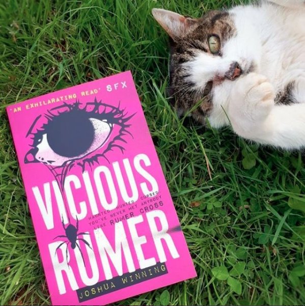 JoshWinning's tweet photo. LOVE all these snaps of #ViciousRumer in the wild ๐
Have you met Rumer yet? If you have, please do drop a review on Amazon to help other people find her story: https://t.co/vndKCL8tTl https://t.co/DhOttC1wn4