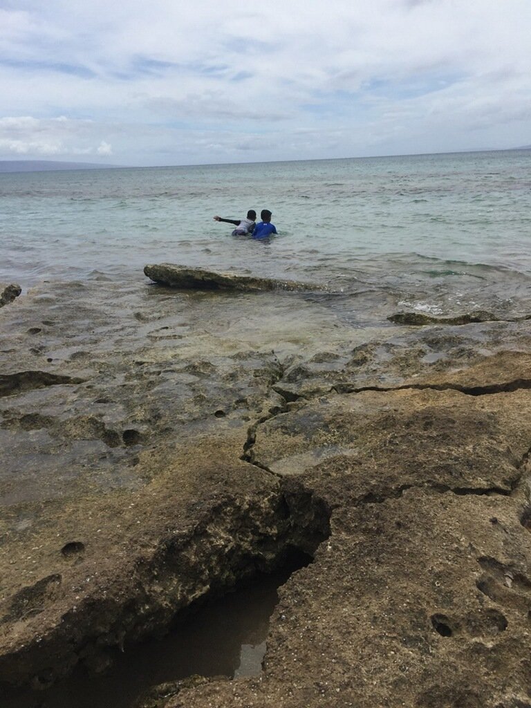 anastasia96761's tweet photo. #summer #Kaikea #Kainoa #oceancalls https://t.co/iLZVG23M3D