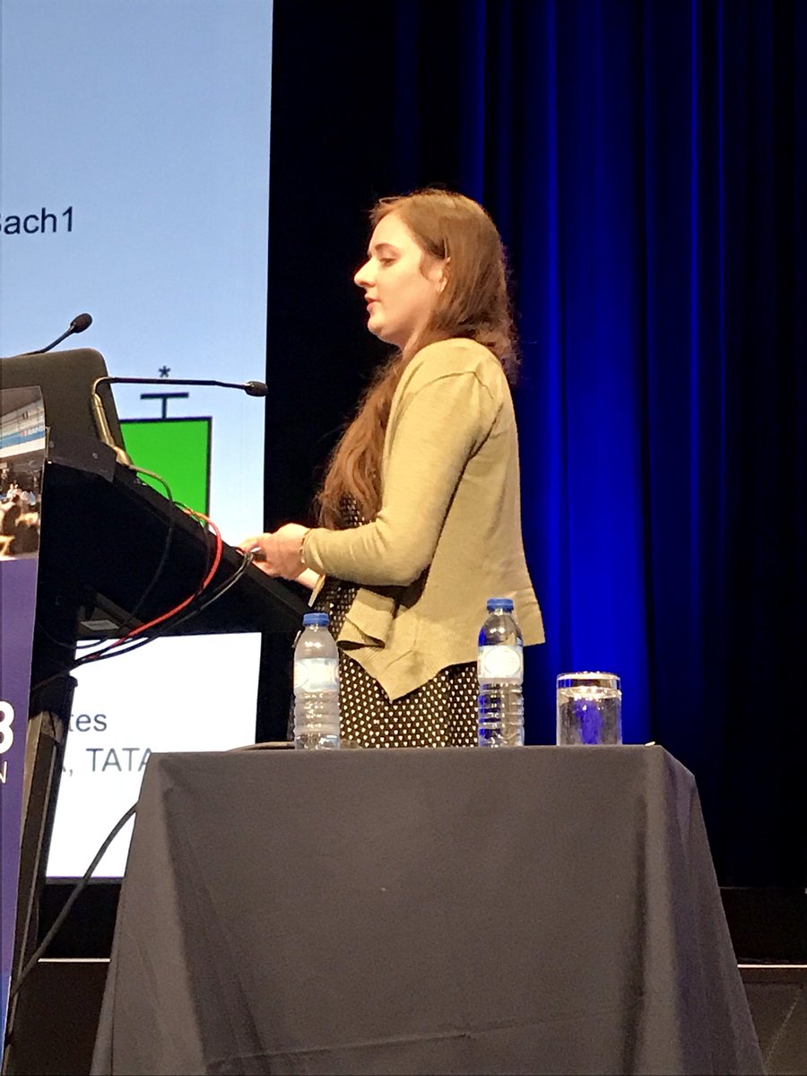mann_ivel's tweet image. Phoebe Kitscha discussing roles of mechanosensitive miR-320a and miR-21-3p in regulating Bach1 expression in endothelial cells at 19th SFRRI in Lisboa,  4-7 June 2018 @SFRR_Europe @SFRBM @sfrri2018 @SFRRI_Mann