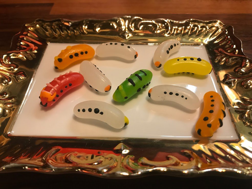 Gallery 幻 いーもーむーしーごーろごろー 奇妙なキノコの展覧会