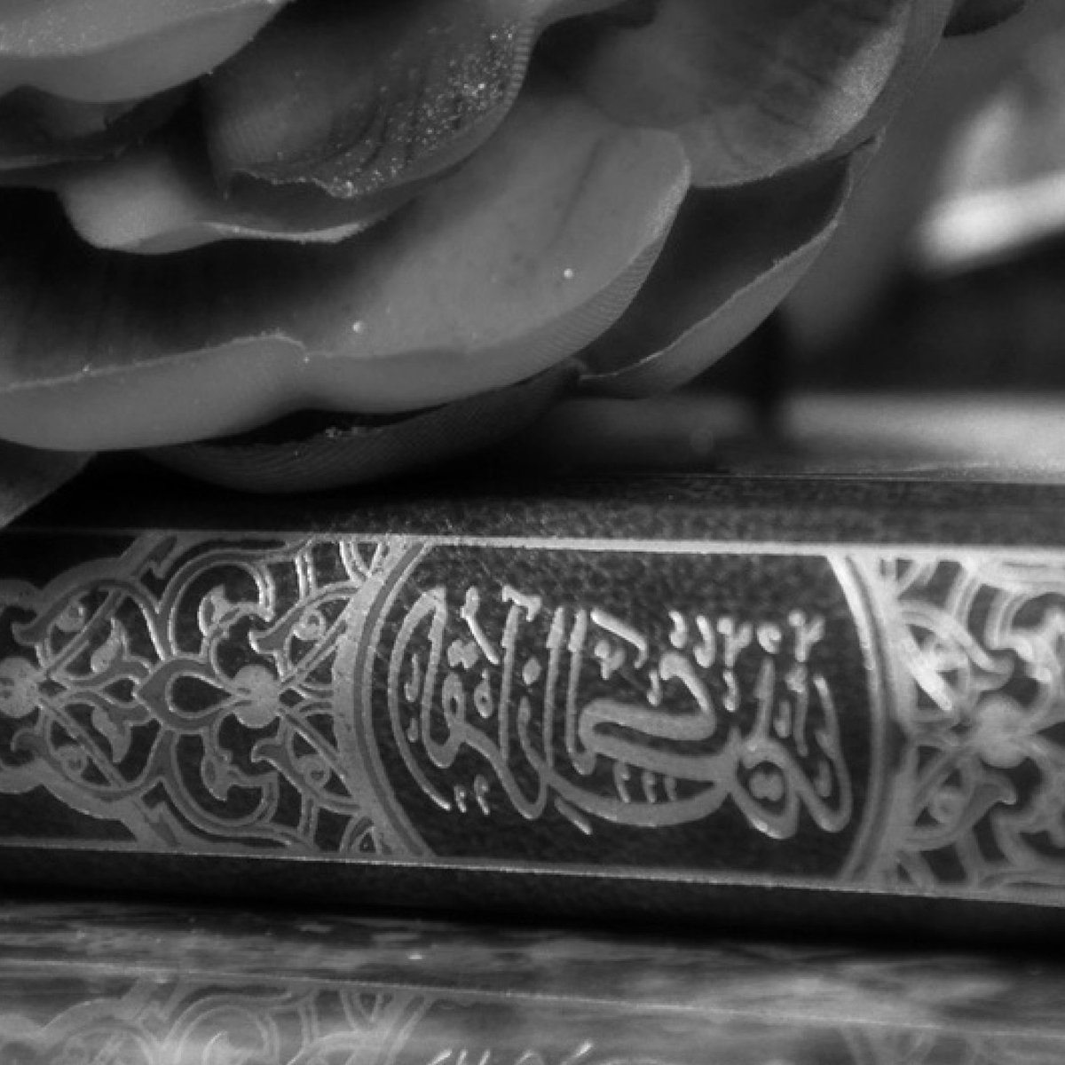 islamicsmarty's tweet photo. #quran #islaimicreminder #islamicquotes #muslimpeople #muslimah #abaya #hijab #hijabfashion #islam #islamic #doha #dubai #abudhabi #islam #hadith #hadīthoftheday #deen https://t.co/tvDgbB2Lis