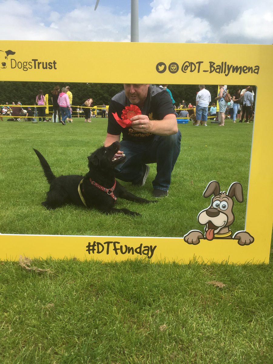 DT_Ballymena's tweet photo. We have our first winner! This handsome boy is the proud of Best Male 1st place. Well played! #winnerwinner #1stplace #funday #dogstrustfunday #dogsdayout #DogsTrust #funinthesun #everyonesawinner #handsome https://t.co/ULtosLBzTI